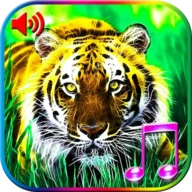 3D Animals Sounds & Wallpapers