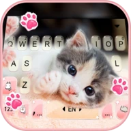 Cute Kitty 2 Keyboard Backgrou