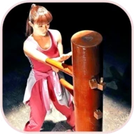 Wing Chun Kung Fu