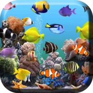 Aquarium Live Wallpaper