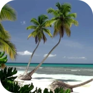 Ocean Beach Live Wallpaper