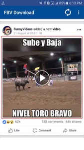 Facebook Video Downloader