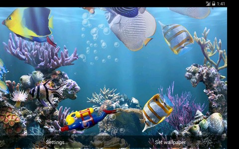 The real aquarium -