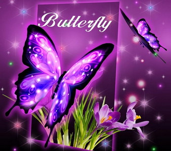 3D Neon Butterfly Theme