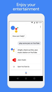 Google Assistant Go