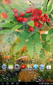 Autumn Live Wallpaper Android App APK