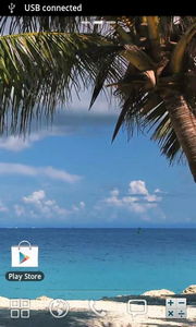 Beach Palm Tree Live Wallpaper
