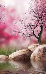 Sakura Live Wallpaper
