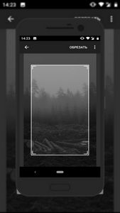 Wallpapers 2020