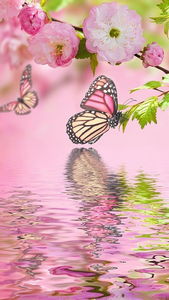 Spring Flowers Live Wallpaper