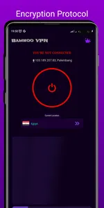 Bamboo VPN