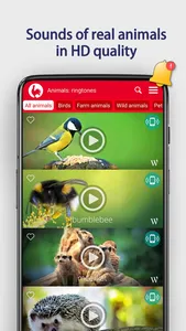 Animals: Ringtones