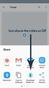 Video Downloader for Twitter