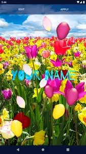 Spring Petals Live Wallpaper