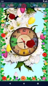 Spring Petals Live Wallpaper