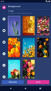 Tulip Spring 4K Wallpapers