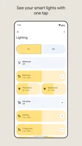 Google Home
