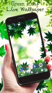Green Leaf APUS Live Wallpaper