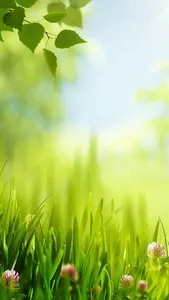 Spring Live Wallpaper