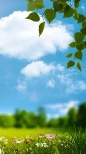 Spring Live Wallpaper