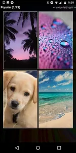 Wallpapers HD+ Fast 4K Screens