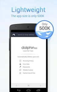 Dolphin Zero Incognito Browser
