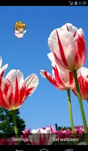 Spring Fairy Live Wallpaper