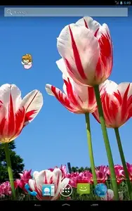 Spring Fairy Live Wallpaper