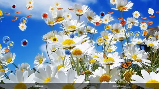 Flowers Live Wallpaper