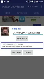 Video Downloader for Twitter