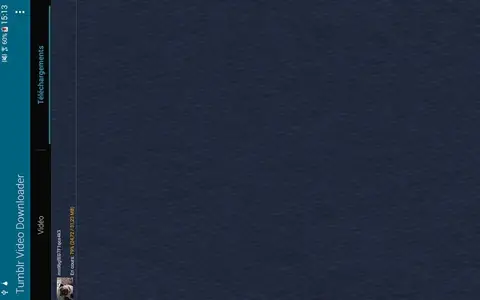 Tumblr Video Downloader