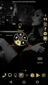 TSF Shell Theme Luxury Gold