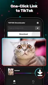 TikTokDownloader