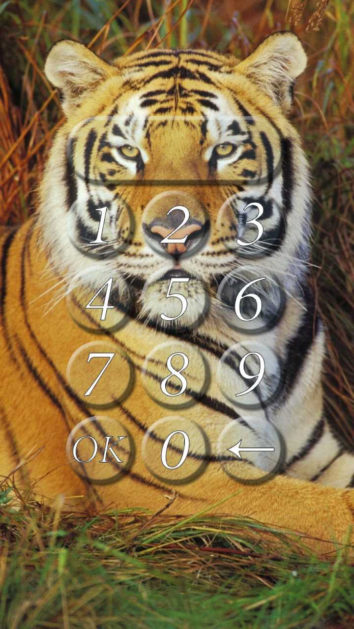 Tiger lock screen.