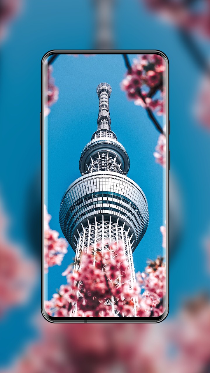 4K Wallpapers - HD & QHD Backgrounds