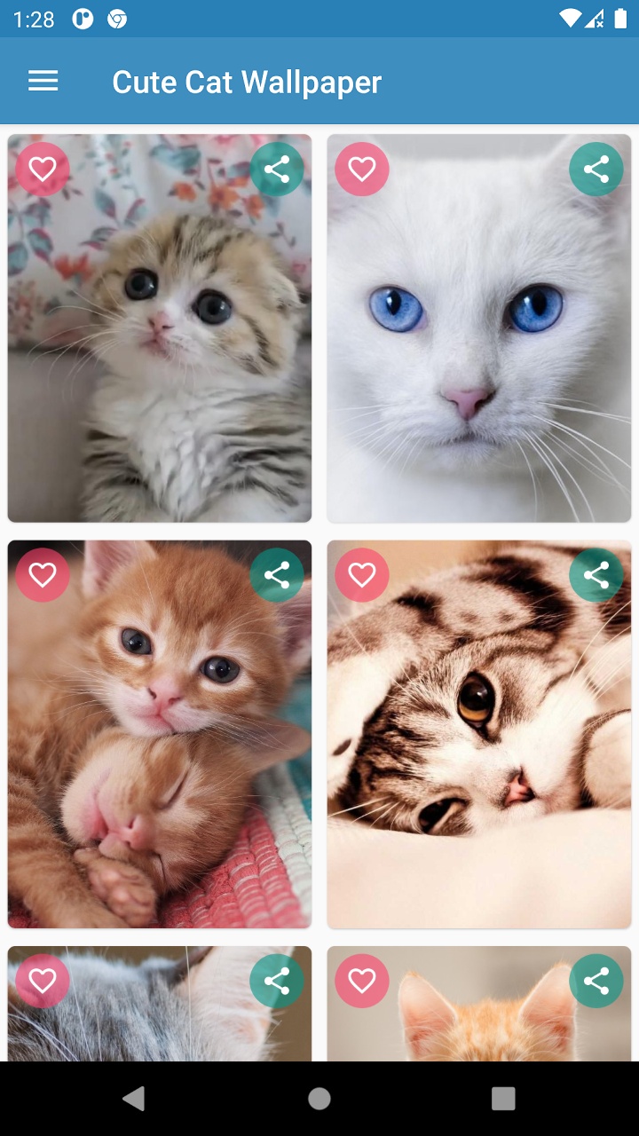 Cute Cat Wallpaper Android Ứng dụng APK () bởi  incodetr - Tải xuống trên PHONEKY