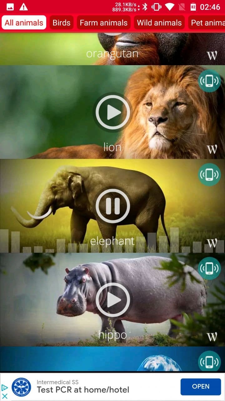 Animals: Ringtones Android App APK () by  Dream_Studio - Download on PHONEKY