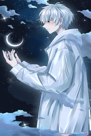 Celestial Dreams: The A..