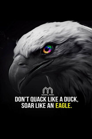 Soar High: Embrace Your..