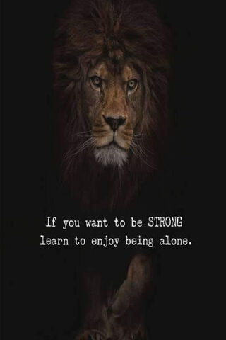 Embracing Solitude: The Strength Within 🦁✨