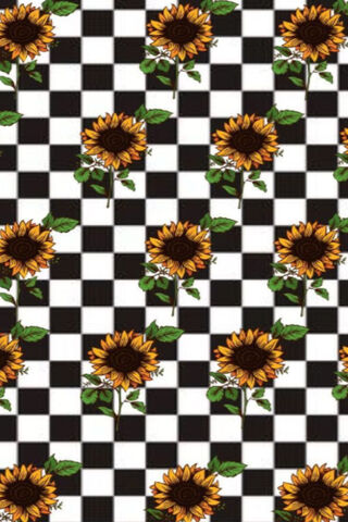 Aesthetic Sunflower