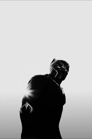 The Silent Guardian of Wakanda 🐾