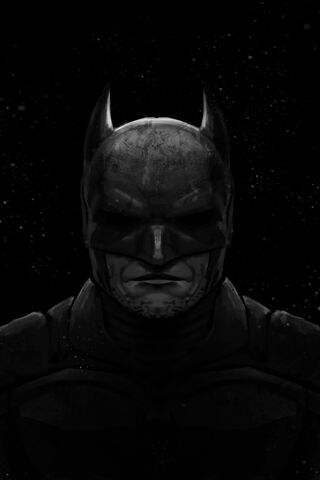 The Dark Knight Rises: A Shadowy Vigilante
