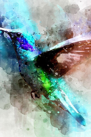 Colibri: The Vibrant Dance of Nature 🌈🐦