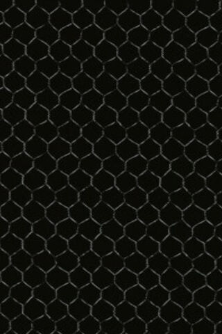 Chicken Wire Black