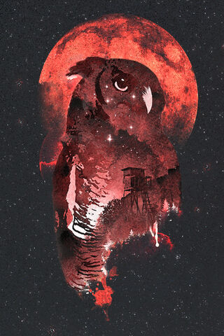 Celestial Guardian of the Night 🌌🦉