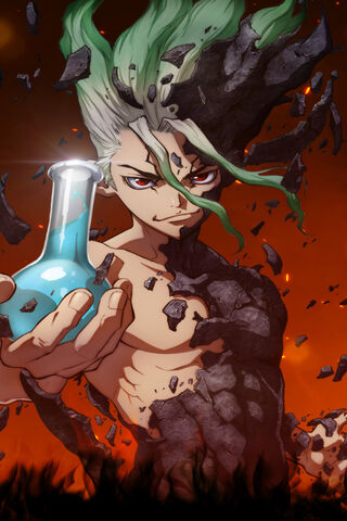 Dr Stone