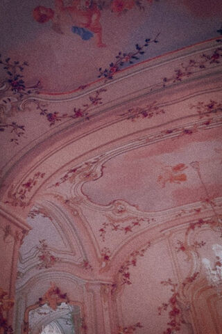 Whispers of Darker Pink: A Dreamy Elegance