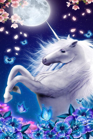 Enchanted Dreams: A Flo..