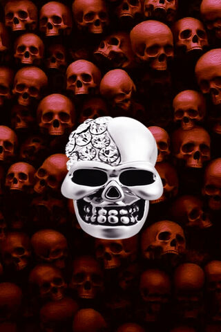 Glimmering Shadows: A Skull's Perspective 💀✨